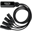 Sound Tools CAT Tails MX Four XLR Male Audio Lines Down Shielded Cat 5/6/7 Cable #SOCTMX #CTMX